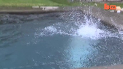 Човек плува в басейн с полярна мечка