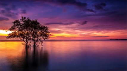 Trance - Manuel Rocca - Sol De Oriente ( Original Mix )