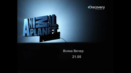 Discovery Channel вече изцяло на български език 