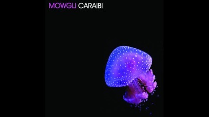 Mowgli - Caraibi (tom Flynn Remix) 