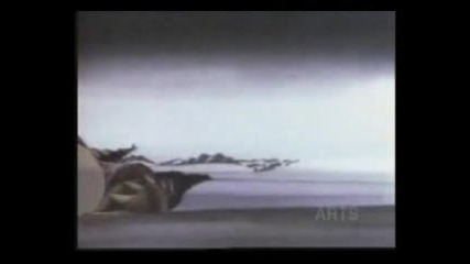 Evolution Animation