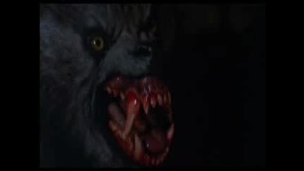 Metallica - Of Wolf and Man 