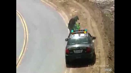 не трябва да караш толкова бързо