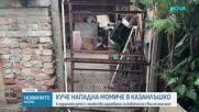 Какво е състоянието на детето, нападнато от Кане Корсо