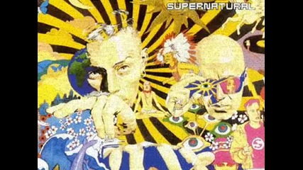 Stereo Mc's [1990) Goin' back to the Wild