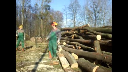 Stihl 028 Husqvarna 46 Xp
