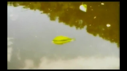 Kamelia - Grqh li e tova (official Video)