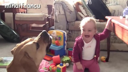Бебета се смеят на кучета лапащи сапунени мехурчета - Компилация {2015}