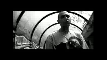 Amir - Wild Style