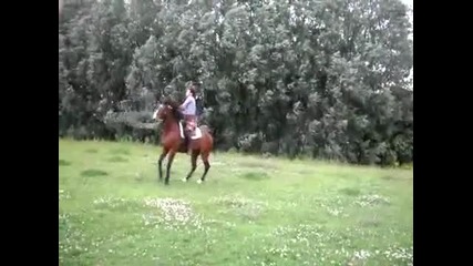 Кон скача на въже