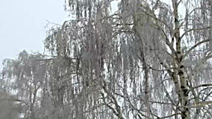 Ледени и оцветени от цветния сняг брезички по пътя Разград-Търговище!