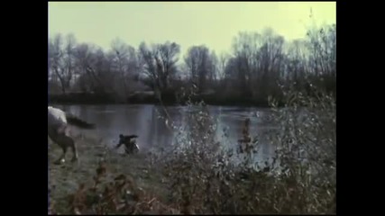 Тримата от Запаса 1971 - По сценарий на Павел Вежинов