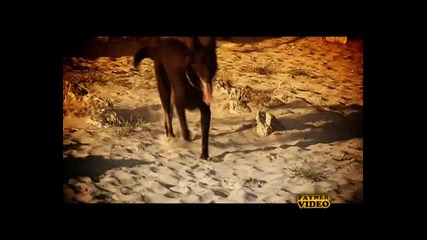 *перфектно Качество* Илиян - Вчера - Двд Рип