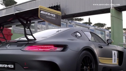 Mercedes- Amg Gt3 Trailer