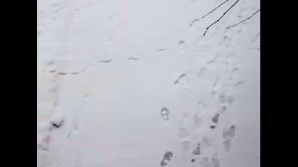Сняг В Люлин1 