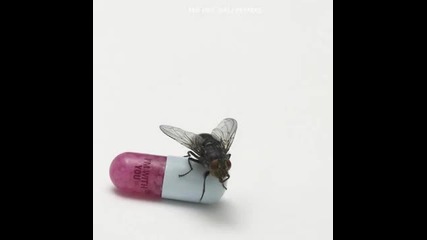 Red Hot Chili Peppers - Look Around (high Quality)