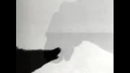 hands