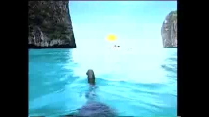 Coke - Swimming Elephant 