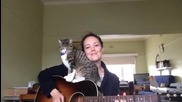 Прекрасна песен , котка и момиче ...