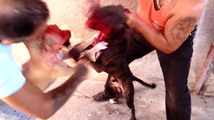 Vid_20130905_113659