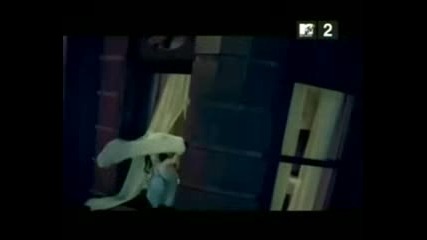 Amy lee Fan video