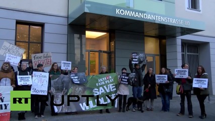 Germany: 'Je Suis Cecil' - Animal rights demonstrate outside Zimbabwean embassy