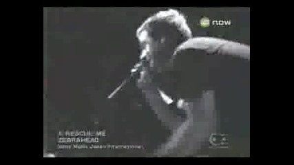 Zebrahead - Rescue Me Live
