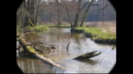 Kogoto the River is Flowing 