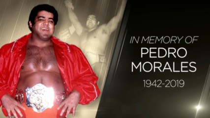 Tributo al miembro del Salón de la Fama WWE Pedro Morales