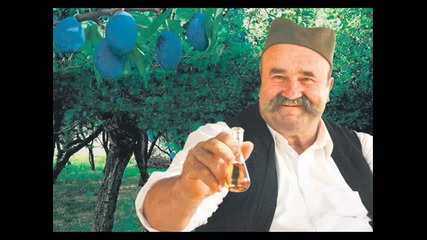 Stevo Damljanovic - Ide Rade niz livade - www.uget.in