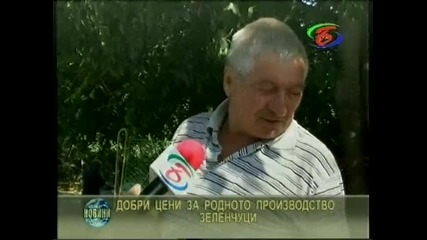 Добри цени в Петрич за родното производство зеленчуци - 27.09.2011