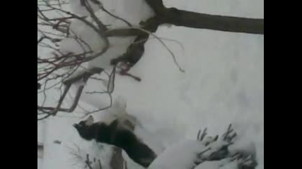 куче което не може да се отплесне