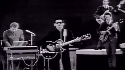 Roy Orbison - Dream Baby (monument Concert 1965)
