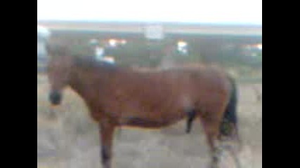 Kon4o