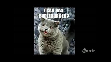 Историята на света в 75 секунди 