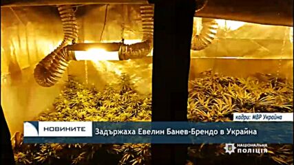 Задържаха Евелин Банев-Брендо в Украйна