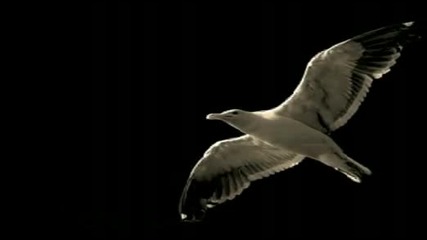 Nana Mouskouri - Love Story