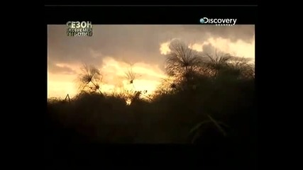 Discovery channel River monsters Congo killer bg audio 3