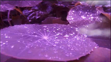 Mono Poly - Purple Rain (original Mix)