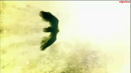 Na Yoon Kwon - Give the World to You [slingshot / Story of a Man / A Man's Story (2009) Ost]