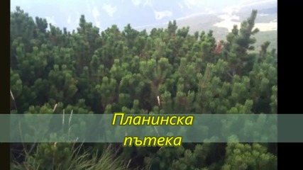 Планинска пътека - Дамски туристически хор "божур"