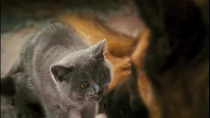 Cats and Dogs 2: The Revenge of Kitty Galore *2010* Trailer