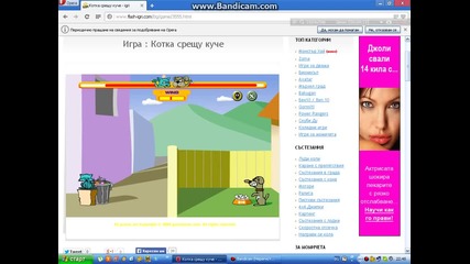 Cat vs Dog Gameplay with lusito11