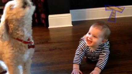 Кучета и бебета си говорят - Забавна компилация