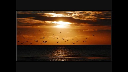Minimal - 