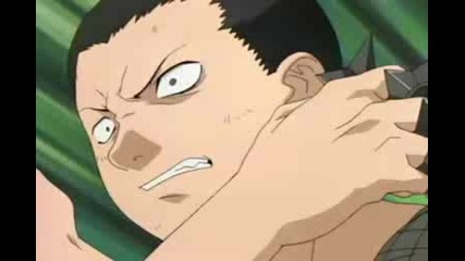 Shikamaru Tribute - Too Troublesome ...