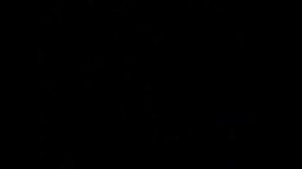 X-files S01e16 - Young at Heart1 {bg audio}