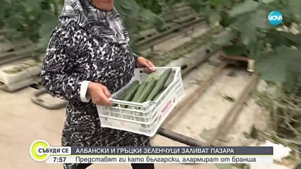 Албански и гръцки зеленчуци заливат пазара, търговци ги представят за български