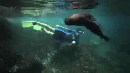 Ник има приятел