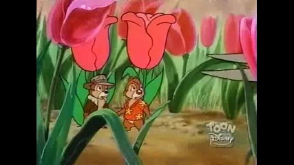 Chip n Dale Rescue Rangers - 224 - When Mice Were Men 